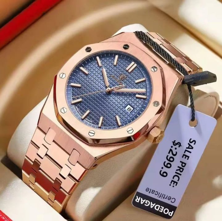POEDAGAR Luxury Watch